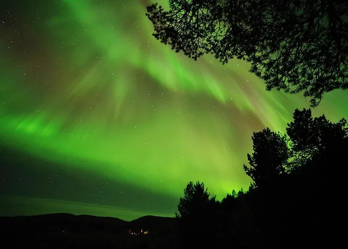 بيت خشبي Lavkavann Finnmarksvidda Skoganvarre