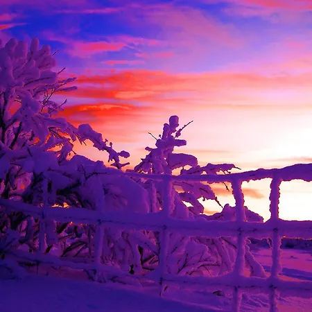 Lavkavann Finnmarksvidda Domek letniskowy